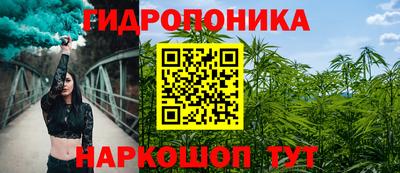 гидра Рыбинск