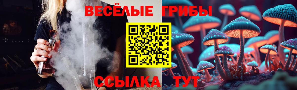 Галлюциногенные грибы Psilocybine cubensis Сердобск